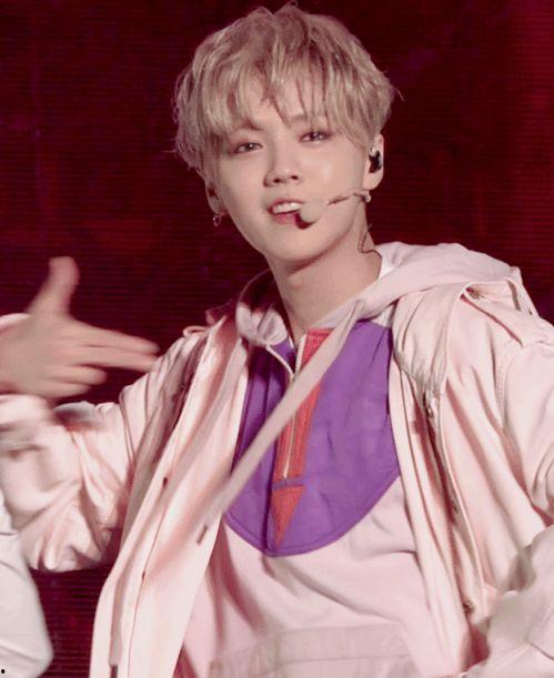 鹿晗最新动态爆料视频,独家爆料视频带你领略偶像魅力  第1张